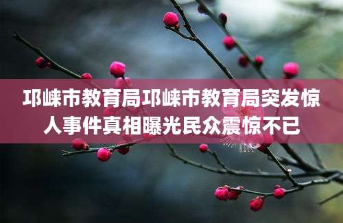 邛崃市教育局邛崃市教育局突发惊人事件真相曝光民众震惊不已