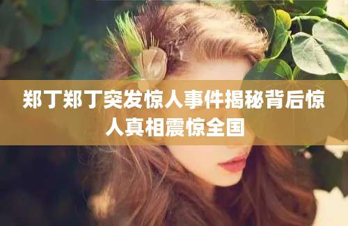郑丁郑丁突发惊人事件揭秘背后惊人真相震惊全国
