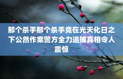 那个杀手那个杀手竟在光天化日之下公然作案警方全力追捕真相令人震惊