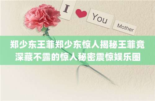 郑少东王菲郑少东惊人揭秘王菲竟深藏不露的惊人秘密震惊娱乐圈