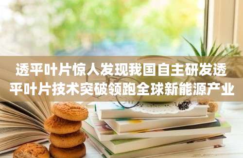 透平叶片惊人发现我国自主研发透平叶片技术突破领跑全球新能源产业