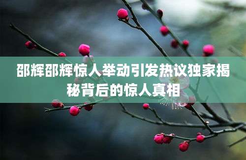 邵辉邵辉惊人举动引发热议独家揭秘背后的惊人真相