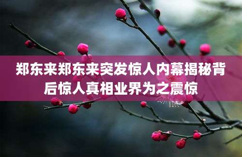 郑东来郑东来突发惊人内幕揭秘背后惊人真相业界为之震惊