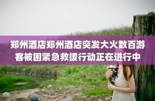 郑州酒店郑州酒店突发大火数百游客被困紧急救援行动正在进行中