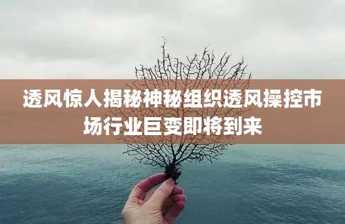 透风惊人揭秘神秘组织透风操控市场行业巨变即将到来