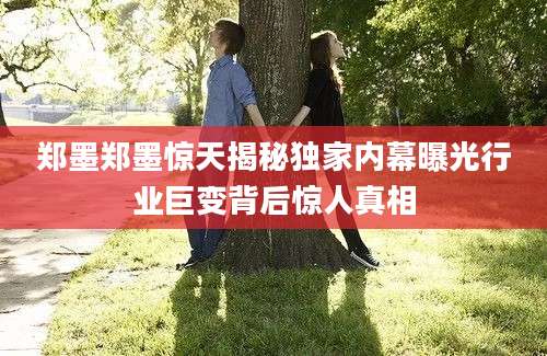 郑墨郑墨惊天揭秘独家内幕曝光行业巨变背后惊人真相