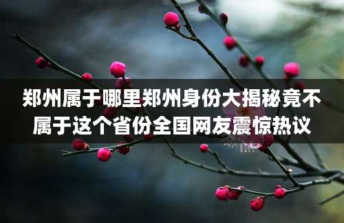 郑州属于哪里郑州身份大揭秘竟不属于这个省份全国网友震惊热议