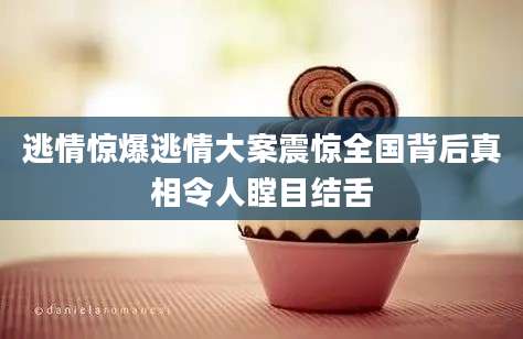 逃情惊爆逃情大案震惊全国背后真相令人瞠目结舌