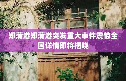 郑蒲港郑蒲港突发重大事件震惊全国详情即将揭晓