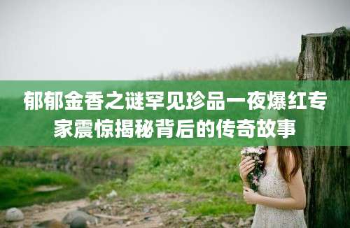 郁郁金香之谜罕见珍品一夜爆红专家震惊揭秘背后的传奇故事